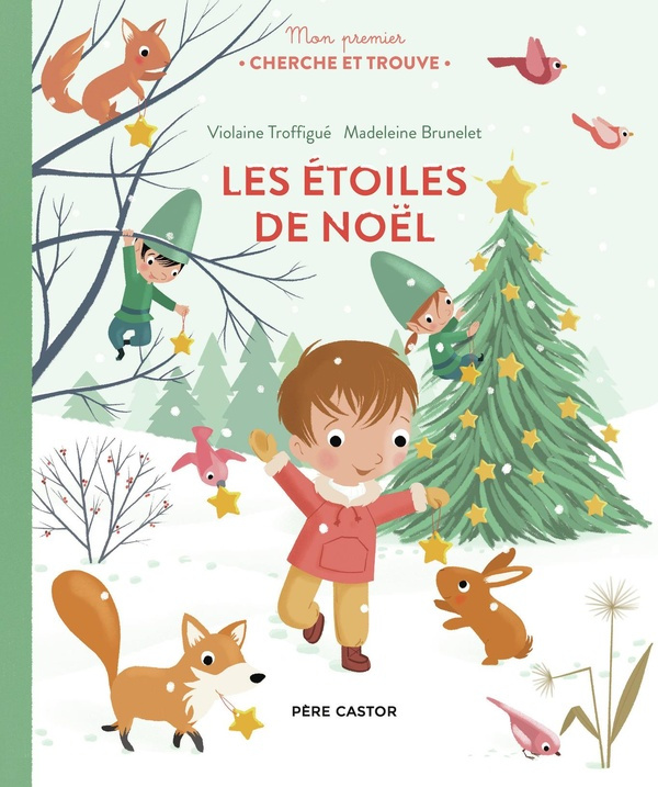 Les étoiles de Noël