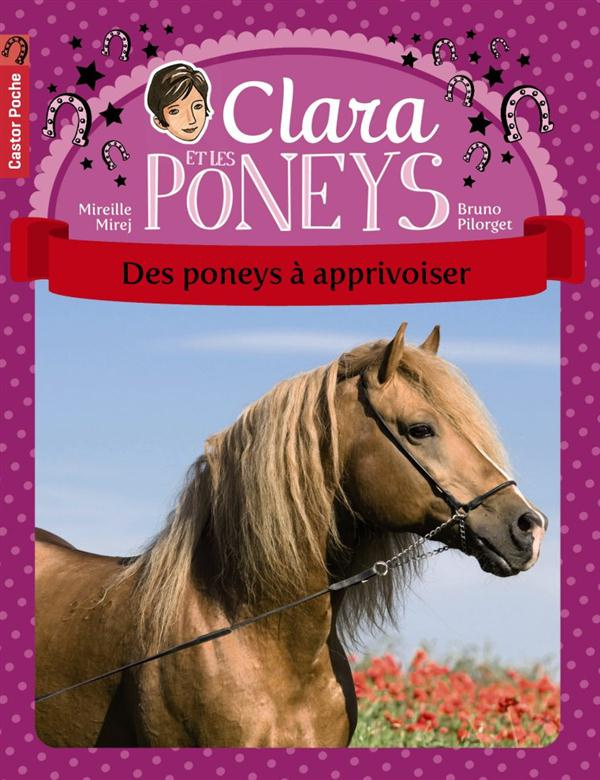 Clara et les poneys Tome 5 : Des poneys à apprivoiser