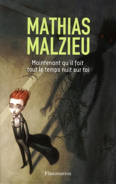 Maintenant qu'il fait tout le temps nuit sur toi