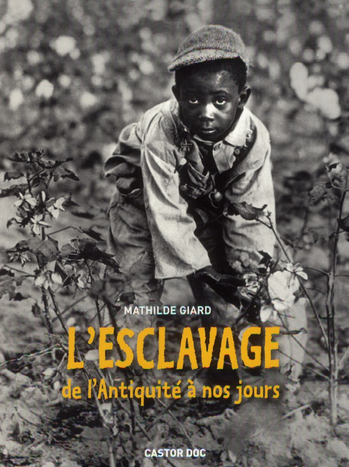 L'esclavage. De l'Antiquité à nos jours
