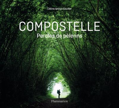 Compostelle. Paroles de pèlerins