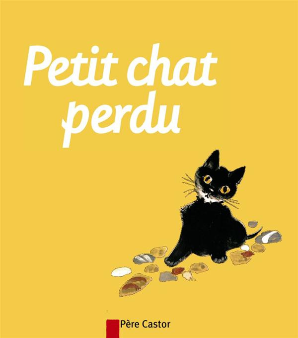 Petit chat perdu