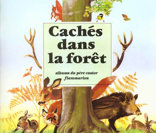 CACHES DANS LA FORET