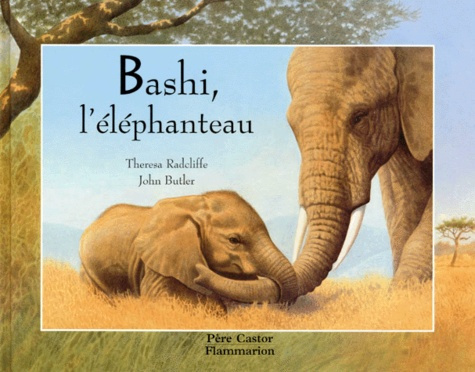 Bashi, l'éléphanteau
