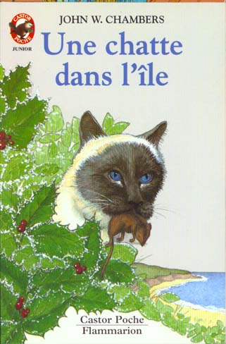 CHATTE DANS L'ILE (UNE) - - HISTOIRE D'ANIMAUX,JUNIOR DES 9/10 ANS