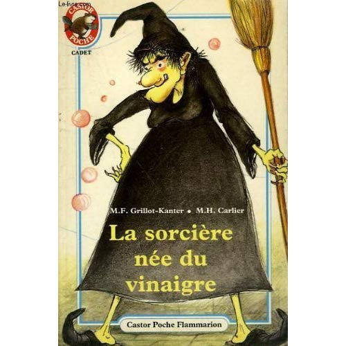 Histoire de lire, cycle des apprentissages fondamentaux, niveau 3. Activités autour d'un roman, "La