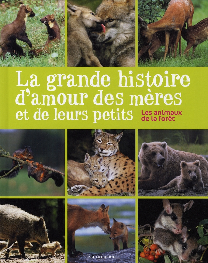 La grande histoire d'amour des mères et de leurs petits. Les animaux de la forêt