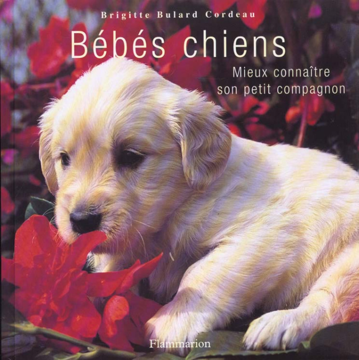 Bébés chiens. Mieux connaître son petit compagnon