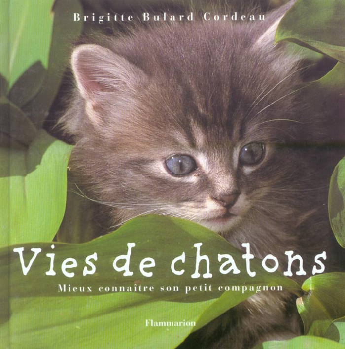Vies de chatons