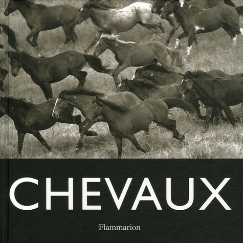 Chevaux
