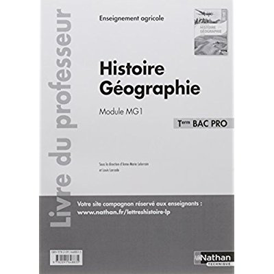 Histoire Géographie Tle Bac Pro Module MG1. Livre du professeur, Edition 2017