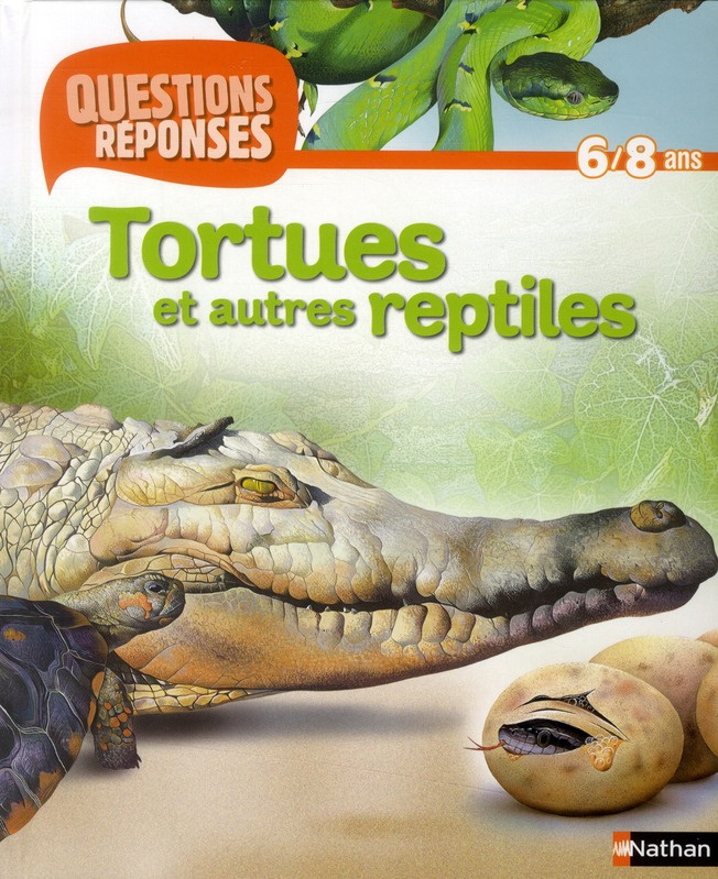 Tortues et autres reptiles