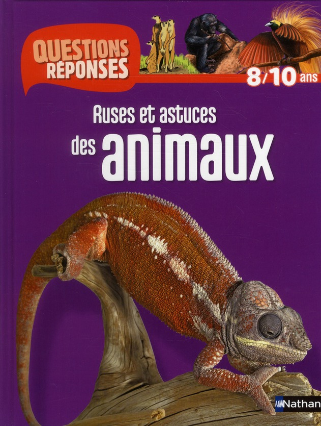 Ruses et astuces des animaux