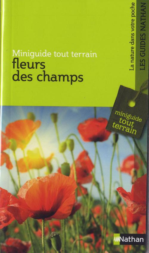 Fleurs des champs