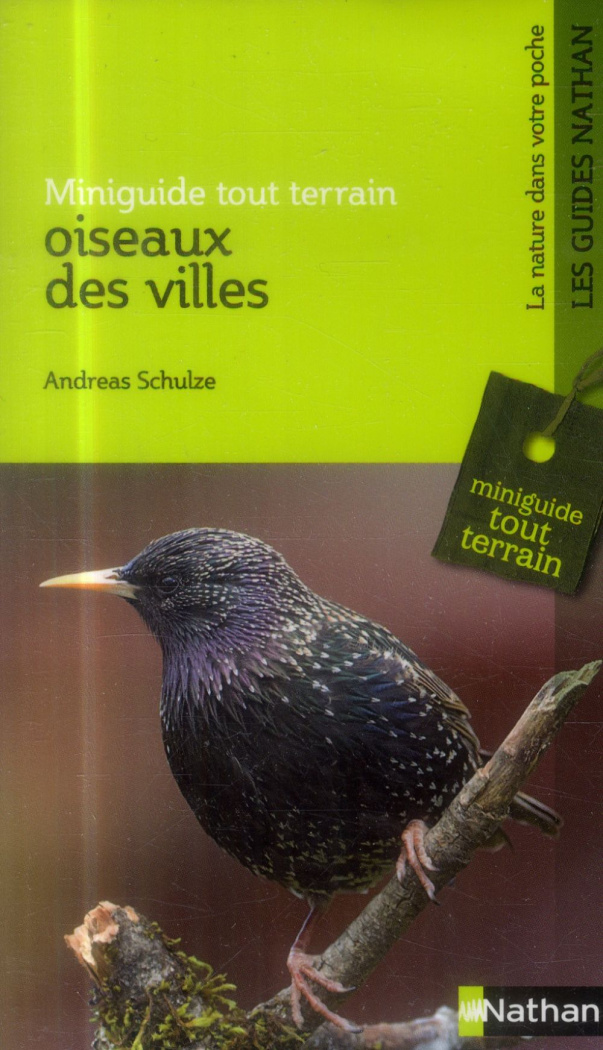 Oiseaux des villes