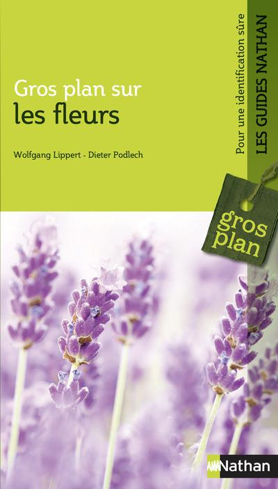 Gros plan sur les fleurs