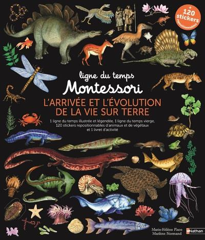 L'arrivée et l'évolution de la vie sur Terre. 1 ligne du temps illustrée et légendée, 1 ligne du tem