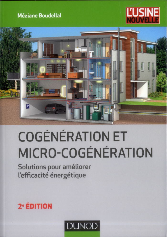 Cogénération et micro-cogénération. Solutions pour améliorer l'éfficacité énergétique, 2e édition