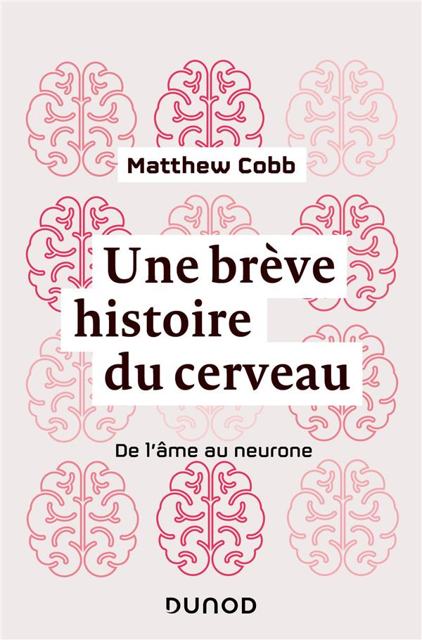 Une brève histoire du cerveau. De l'âme au neurone