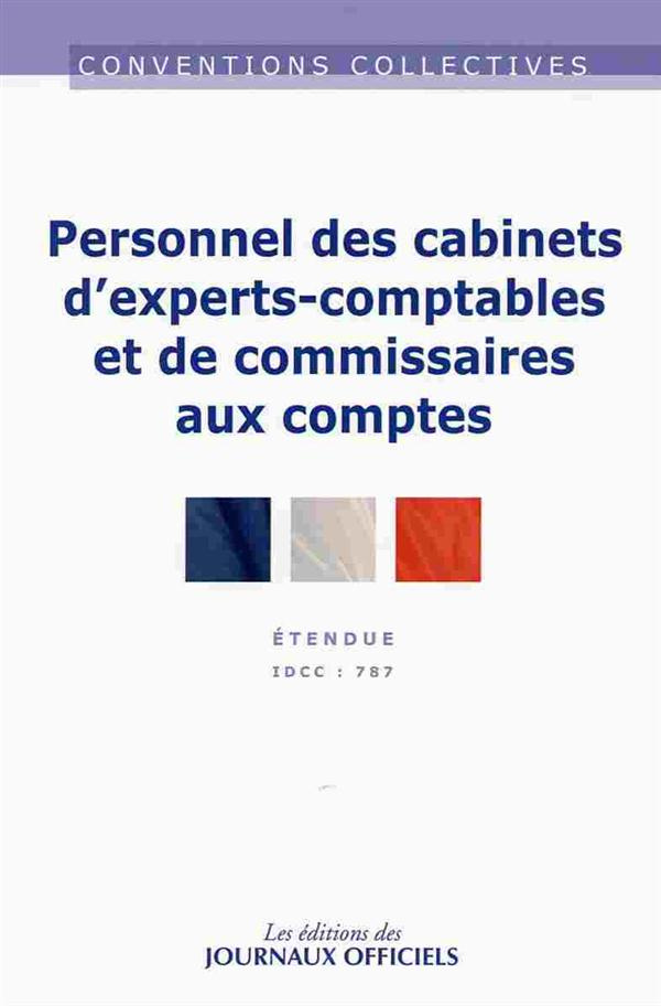 Cabinets experts-comptables et de commissaires aux comptes