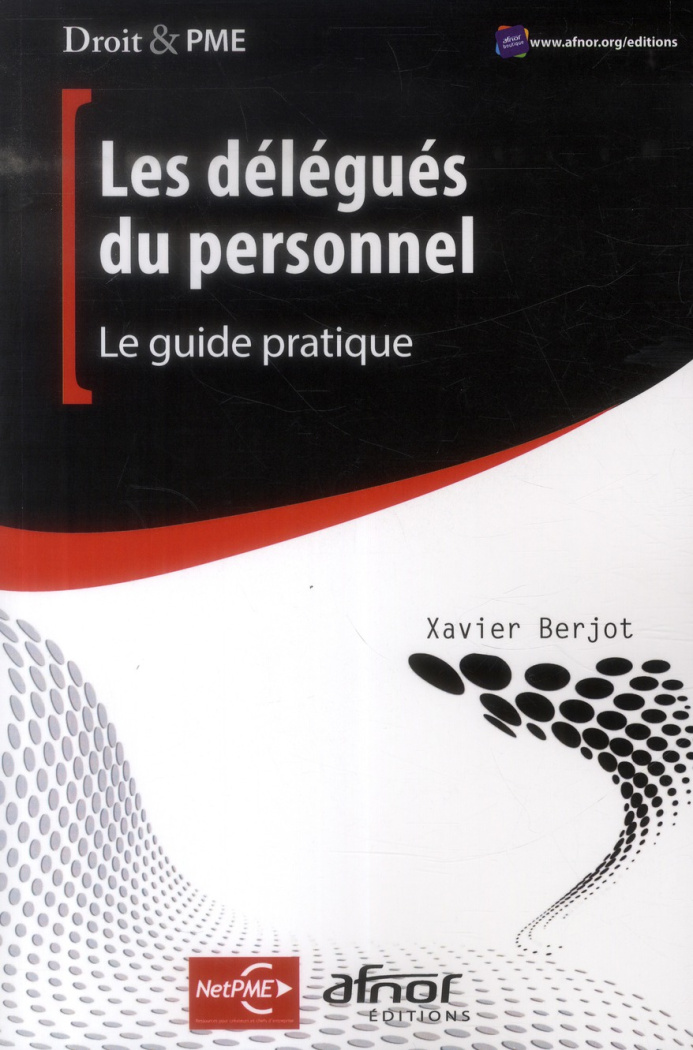 LES DELEGUES DU PERSONNEL. LE GUIDE PRATIQUE