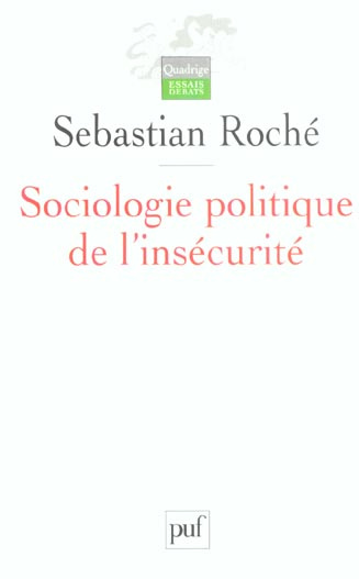 Sociologie politique de l'insécurité. Violences urbaines, inégalités et globalisation