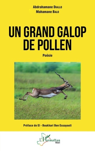 Un grand galop de pollen - poesie