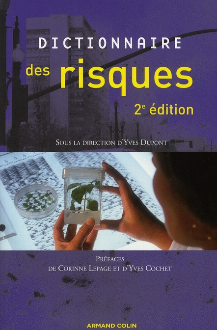 Dictionnaire des risques. 2e édition