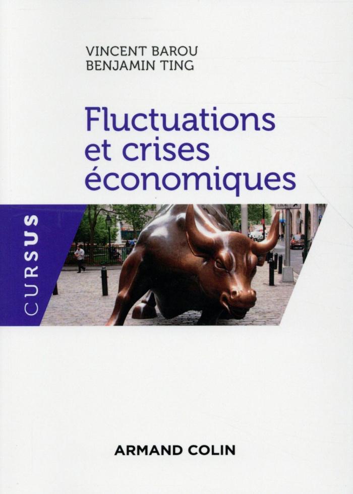 Fluctuations et crises économiques
