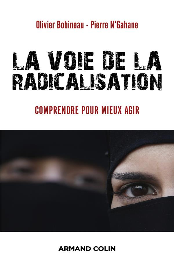 La voie de la radicalisation. Comprendre pour mieux agir