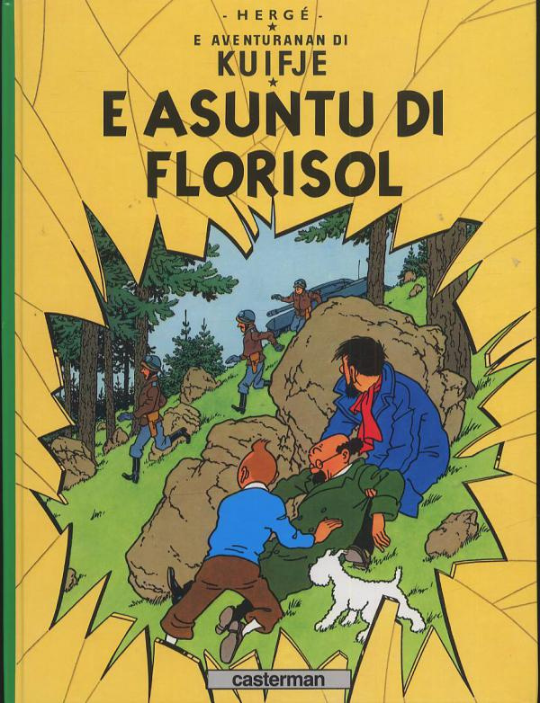 E Asuntu di Florisol