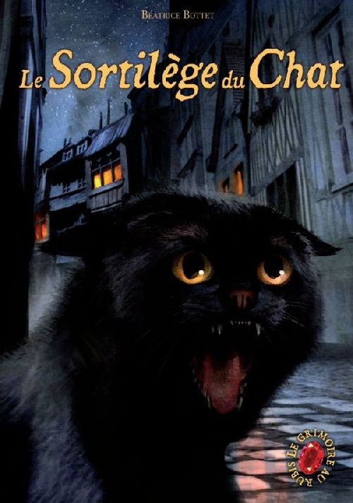 Le Grimoire au rubis Tome 2 : Le sortilège du chat