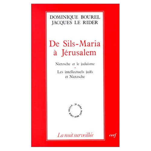 De Sils-Maria à Jérusalem. Nietzsche et le judaïsme, les intellectuels juifs et Nietzsche