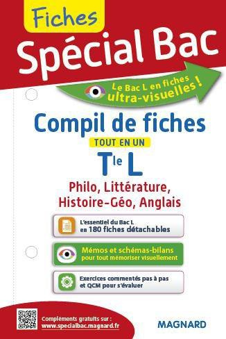 Compil de fiches tout en un Tle L. Philosophie, Histoire-géo, Anglais, Littérature