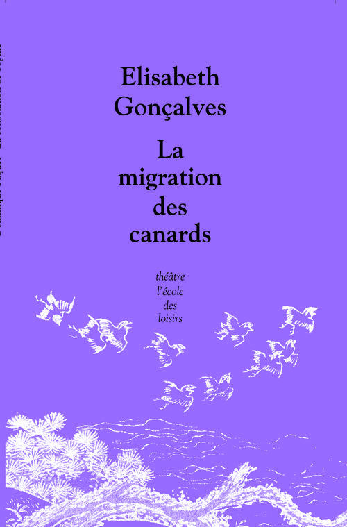 La migration des canards