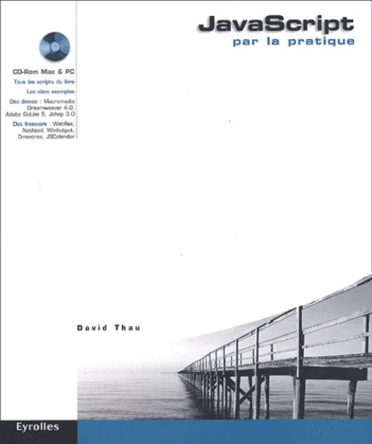 JavaScript par la pratique. Avec 1 CD-ROM
