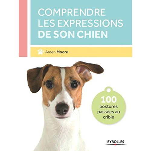Comprendre les expressions de son chien. 100 postures passées au crible