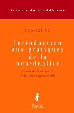 Introduction aux pratiques de la non-dualité. Commentaire du Soûtra de la Liberté inconcevable