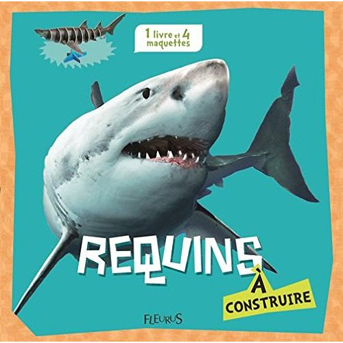Requins à construire