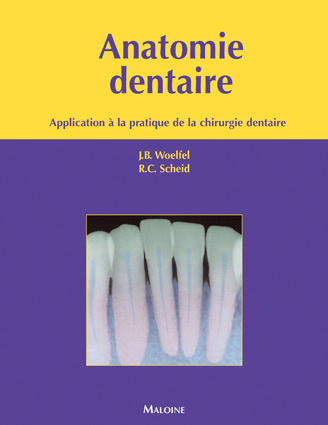 Anatomie dentaire. Application à la pratique de la chirurgie dentaire