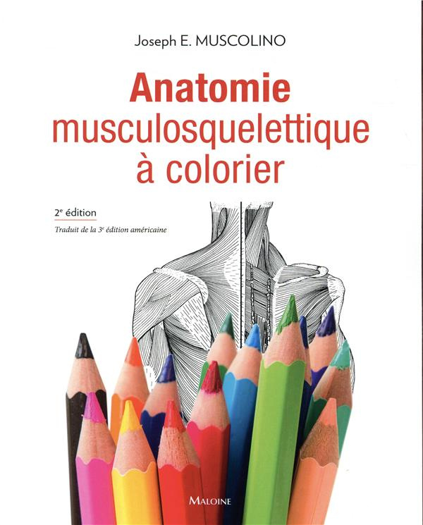 Anatomie musculosquelettique à colorier. 2e édition