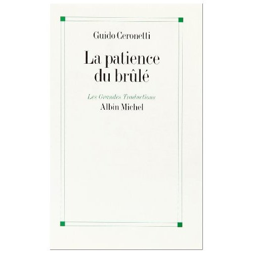La patience du brûlé. Carnets de voyage, 1983-1987
