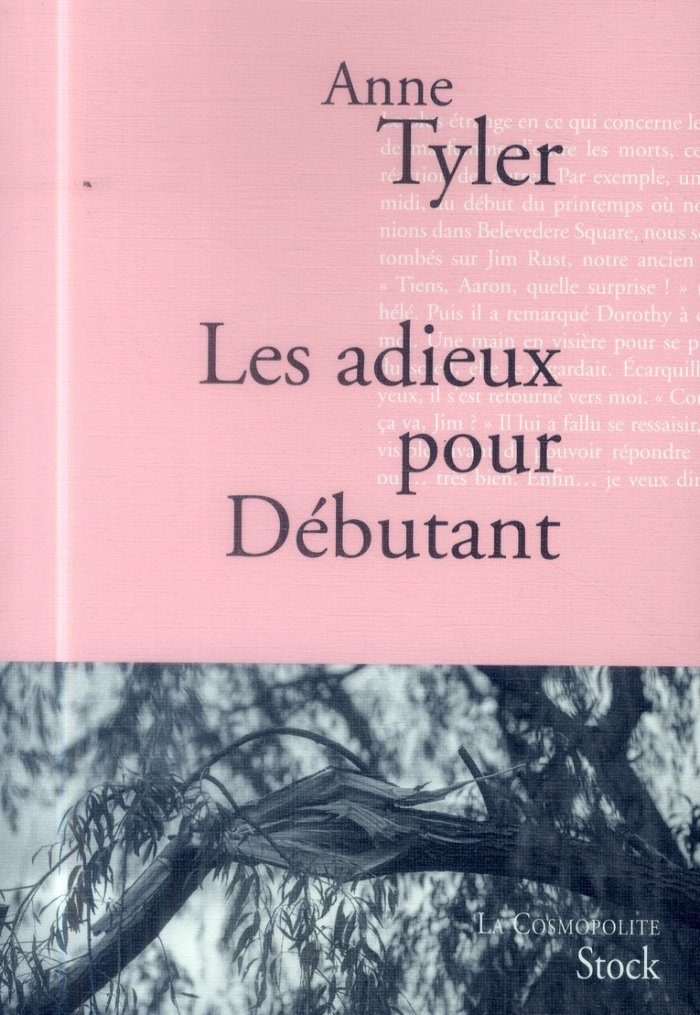 Les adieux pour Débutant