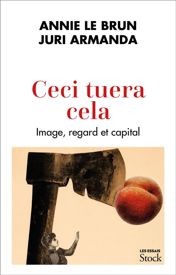 Ceci tuera cela. Image, regard et capital