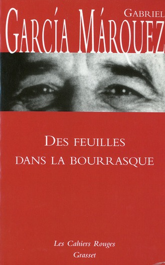 Des feuilles dans la bourrasque