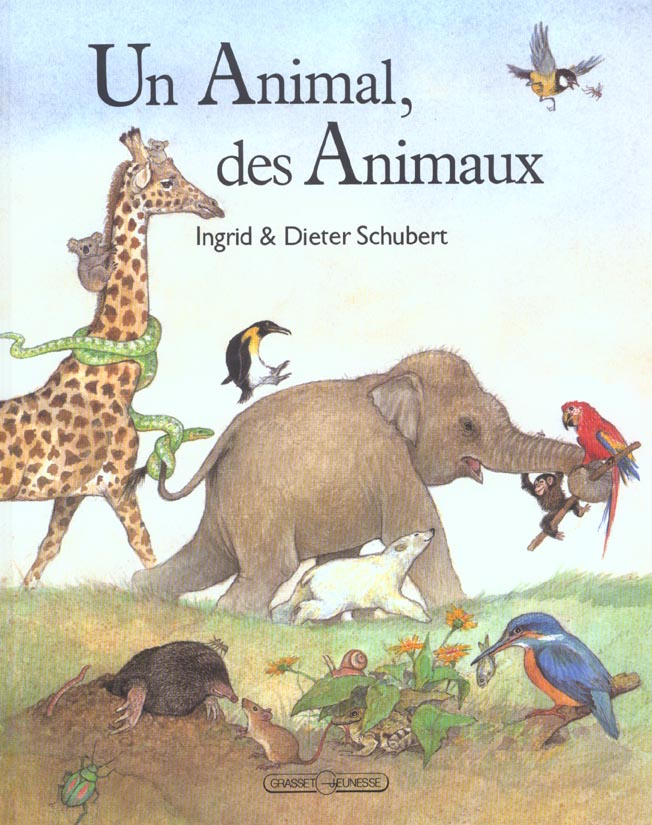 UN ANIMAL, DES ANIMAUX