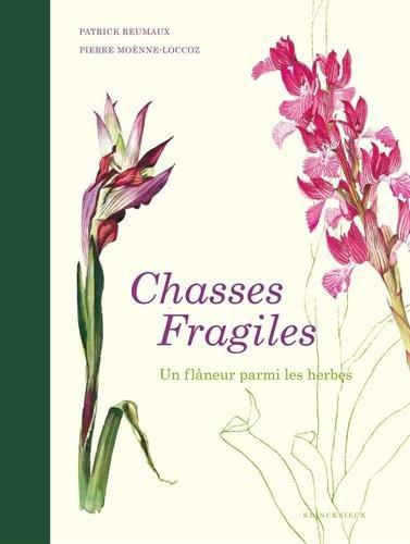 Chasses fragiles. Un flâneur parmi les herbes