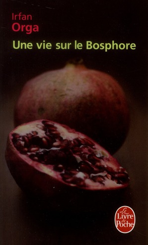 Une vie sur le Bosphore