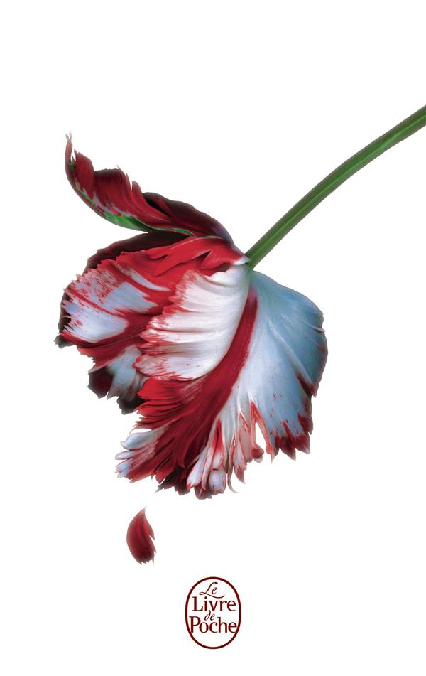 Twilight Tome 2 : Tentation