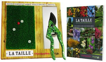 La taille. Tous les gestes indispensables